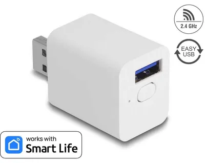 Productafbeelding van Delock - Slimme schakelaar - WLAN, EASY-USB - draadloos - 802.11b/g/n - 2.4 GHz - wit