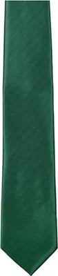 Immagine prodotto di Cravatta in twill / 144 x 8,5cm - Colore: Verde bottiglia - Dimensioni: 144 x 8,5cm