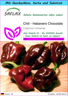Produktbild von SAFLAX - Geschenk Set - Chili - Habanero Chocolate - 10 Samen - Mit Geschenk- / Versandbox, Versandaufkleber, Geschenkkarte und Anzuchtsubstrat - Capsicum chinense