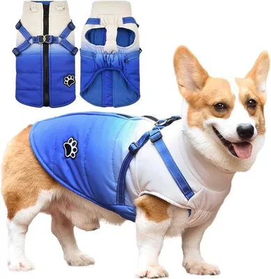 Produktbild von Wasserdichte Hundejacke, warm, blau, Mittelgröße