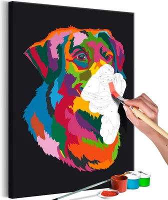 Produktbild von Vlies Malen nach Zahlen - Colourful Dog 40x60 cm Tiere n-A-0919-d-a