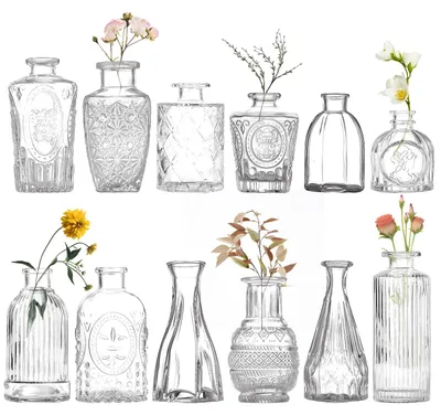 12 Mini-Blumenvasen aus Glas, transparent, Vintage-Stil, 12 Stück