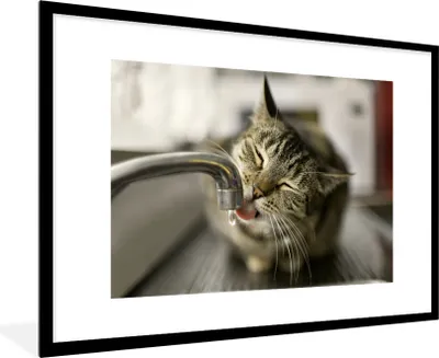 Produktbild von MuchoWow® MuchoWow® Gerahmtes Poster Katze - Wasserhahn - Getränk 90x60 cm - Poster mit zchwarzem Bilderrahmen - Wanddekoration - Fotos
