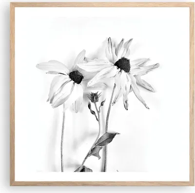 Produktbild von Gerahmtes Poster - Rahmen in heller Eiche - Verwelkt Blumen Monochrom - 60x60 cm - Wand Bild - Wanddeko - Wandbilder - Kunstposter - Wandposter - Bilderrahmen - Bilder - Kunstdruck - P2NAC60x60-4737