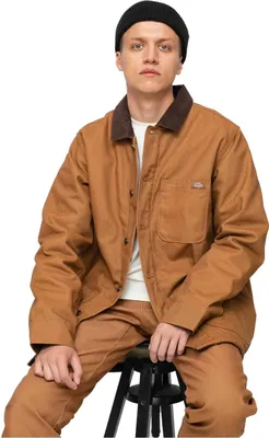 Image de Veste Dickies DK0A4XGABD0 pour Homme