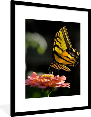 Produktbild von MuchoWow® Gerahmtes Poster Schmetterling - Botanisch - Blume 60x80 cm - Poster mit Schwarzem Bilderrahmen Wandposter Rahmen Foto Bilder - Wohnzimmer - Dekorationen - Prämie