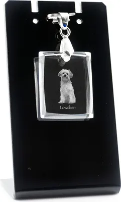 Zdjęcie produktu dla Lowchen – Kryształowa zawieszka z psem, naszyjnik z fotografią, wyjątkowe biżuterii od Art-Dog