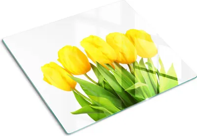 Imagen del producto de Cubierta para placa de cocina – Cubierta para placa de inducción – Placa de vidrio protectora – 60x52 cm – Placas de vidrio protectoras para cocina – Vidrio templado – Tulipanes amarillos