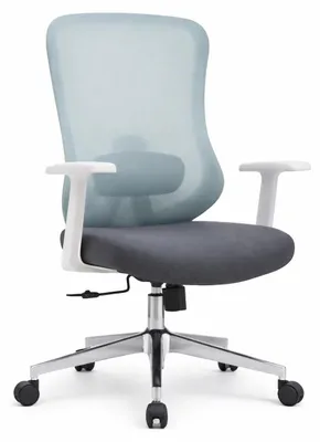 Obrázok produktu pre Ergonomická kancelárska stolička s sieťovou opierkou a nastaviteľnými podrúčkami