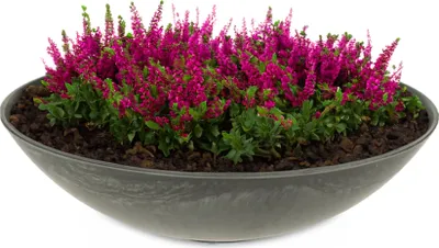 Produktbild von Flache Pflanzschale für draussen Dekoschale rund schwarz 28 cm