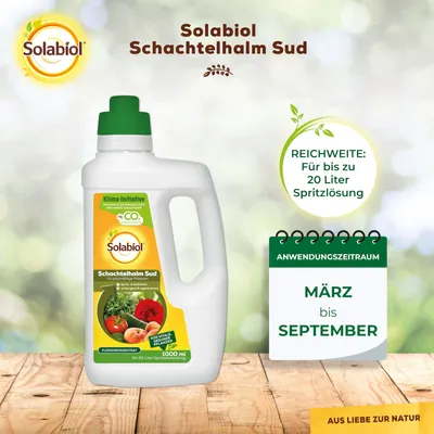 Produktbild von Solabiol Schachtelhalm Sud - 1 Liter