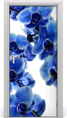 Produktbild von Tulup Türaufkleber 95x205 cm Dekorative Aufkleber Selbstklebend Wasserdichte Tapete Abnehmbar Schlafzimmer Wohnzimmer Wohnkultur - Orchidee Blumenaufkleber Wandaufkleber
