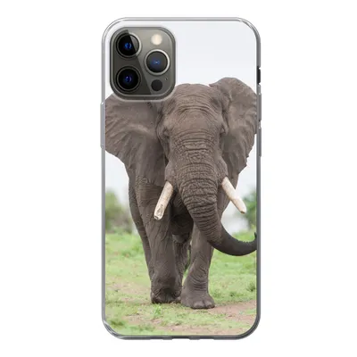Produktbild von MuchoWow® Handyhülle Schutzhülle Hülle für iPhone 13 Pro Elefant - Tiere - Gras - Natur Silikon Softcase Handy Hülle - Handy-Tasche