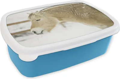 Produktbild von KitchenYeah® Lunchbox Brotzeit Brotdose 17x11 cm Nahaufnahme eines Fjordpferdes im Schnee Kinder Brotzeitdose - Lunch - Kunststoff  - Brotbüchse - Sandwichbox - Lunchbox für Kinder