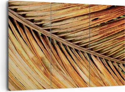 Produktbild von Bild auf Leinwand - Leinwandbild - 3 Teile - Orange Blatt Tropisch - 165x110cm - Wand Bild - Wanddeko - Wandbilder - Leinwanddruck - Bilder - Wanddekoration - Leinwand bilder - CE165x110-4876