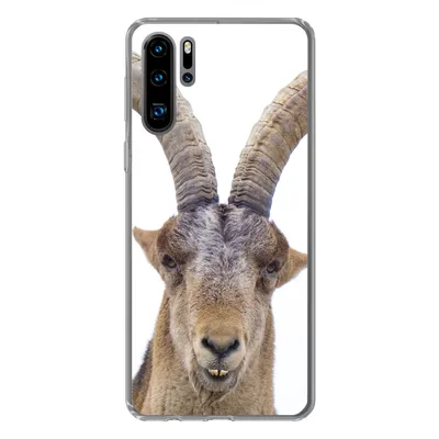 Produktbild von MuchoWow® Handyhülle Schutzhülle Hülle für Huawei P30 Pro Steinbock - Tiere - Hoorn Silikon Softcase Handy Hülle - Schutzdeckel