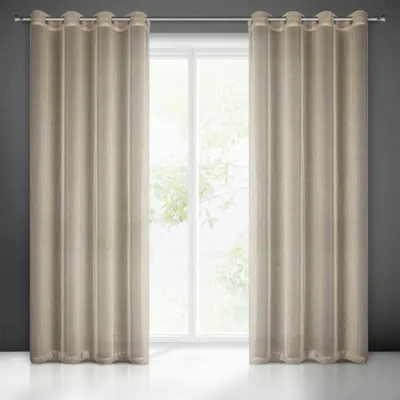 Produktbild von Eurofirany 419416, Durchscheinend, Beige, Einfarbig, Polyester, Öse, 95 g/m²