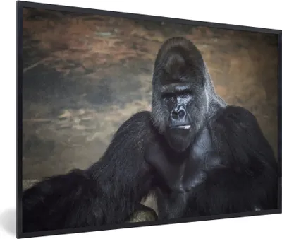 Produktbild von MuchoWow® MuchoWow® Gerahmtes Poster Porträtbild eines schwarzen Gorillas 60x40 cm - Poster mit zchwarzem Bilderrahmen - Printing - Wanddeko Schlafzimmer