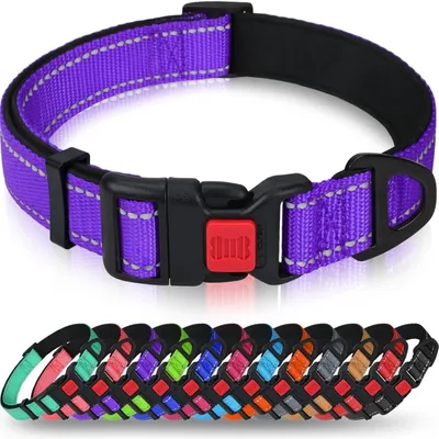Produktbild von Hundehalsband Neopren Nylon Verstellbar Reflektierend Lila M (35-50cm)