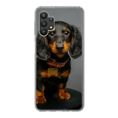 Produktbild von MuchoWow® Handyhülle Schutzhülle Hülle für Samsung Galaxy A32 5G Studiofoto eines Dackelwelpen Silikon Softcase Handy Hülle - Softcase