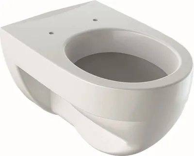 Immagine prodotto di Geberit Wand-Flachspül-WC Renova 540mm Ausladung weiß KeraTect