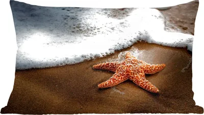 Produktbild von MuchoWow® Zierkissen Sofakissen Wohnzimmer Dekokissen 50x30 cm Seestern - Sand - Wasser - Wohnzimmerdekoration - Polster mit Photo