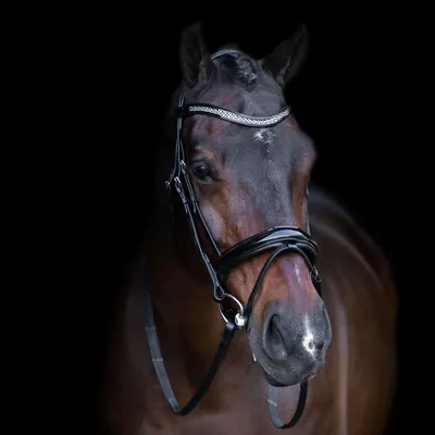 Produktbild von Imperial Riding Trensenzaum Englisches Reithalfter black-crystal mit Strass Stirnriemen, Größe:Pony