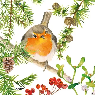 Produktbild von 20 Servietten Robin in Tree - Rotkehlchen auf Winterast 33x33cm