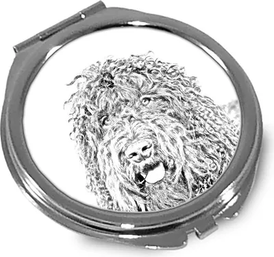 Image de Barbet miroir avec photo de chien Art-Dog