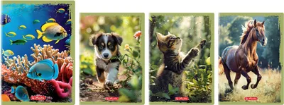 Zdjęcie produktu dla Zeszyt Herlitz A5 16 linia podwójna Animals