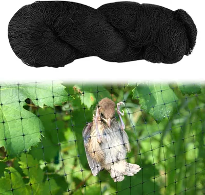 Image de Filet de protection pour oiseaux, en nylon résistant, dimensions 7,5 x 15 mètres, idéal pour le jardin et le balcon