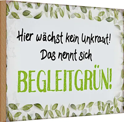 Produktbild von Holzschild Spruch 30x20cm wächst kein Unkraut Begleitgrün