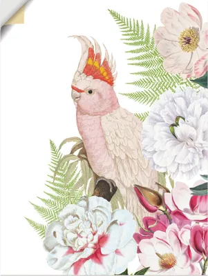 Produktbild von ARTland Wandbild, selbstklebend Vintage Papagei II Größe: 90x120 cm