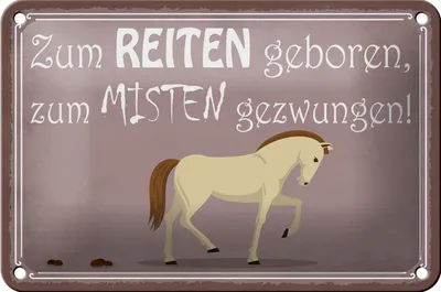 Produktbild von Blechschild Spruch 18x12cm zum Reiten geboren Pferd