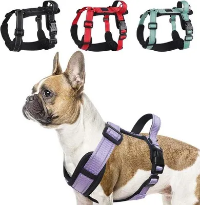 Produktbild von Famanu Hundegeschirr Verstellbar und Reflektierend - Lila