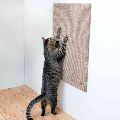 Obrázok produktu pre Hnedá drevená doska 50 x 70 cm