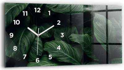 Produktbild von Wallfluent Wanduhr – Stilles Quarzuhrwerk - Uhr Dekoration Wohnzimmer Schlafzimmer Küche - Zifferblatt - weiße Zeiger - 60x30 cm - Tropenmonster