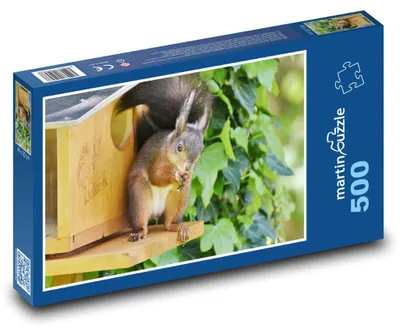 Obrázok produktu pre Puzzle 500 Veverička v prírode - martinpuzzle