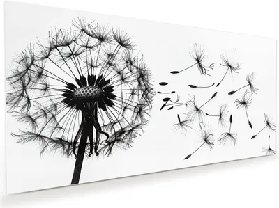 Produktbild von Glasbild 120x60cm in XXL für Wohnzimmer, Schlafzimmer Motiv Pusteblume