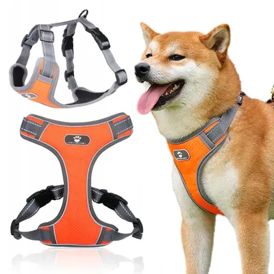 Produktbild von OKWISH Hundegeschirre, Brustgeschirr Hund, Verstellbares Hundegeschirr, Atmungsaktives Hundegeschirr, Sicherheitsgeschirr für Hunde