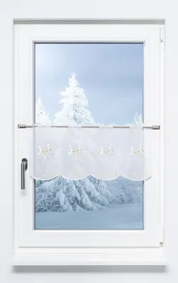 Produktbild von Scheibengardine Plauener Spitze - Schweifstern  (Bx H) 240cm * 29cm Weiß/weiß-gold