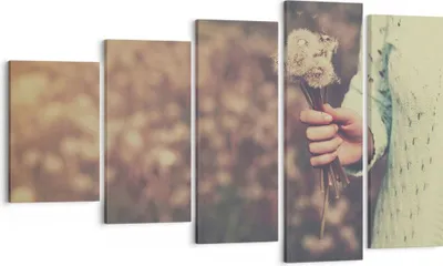 Produktbild von Bild auf Leinwand - Leinwandbild - Baby Sommer Pflanze - 100x60cm - Wand Bild - Wanddeko - Leinwanddruck - Bilder - Kunstdruck - Wanddekoration - Leinwand bilder - Wandkunst - EG100x60-3738
