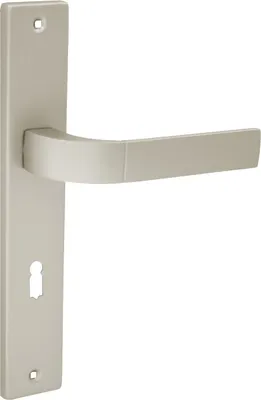 A close-up studio shot of a door handle set on a white background.