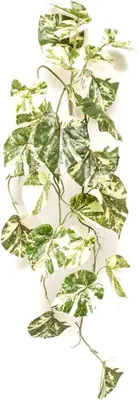 Produktbild von artplants.de Kunst Scindapsus NAVIRT auf Steckstab, grün-weiß, 90cm - Künstlicher Scindapsushänger