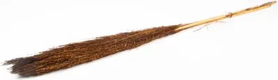 Produktbild von INNA-Glas Schilf getrocknet DONJETA, braun, 115-120cm, Ø15cm - Getrockneter Bund