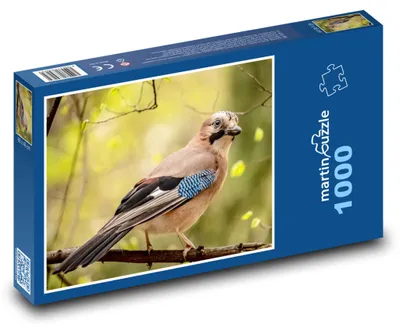 Obrázek produktu pro martinpuzzle - Puzzle 1000 - Sojka