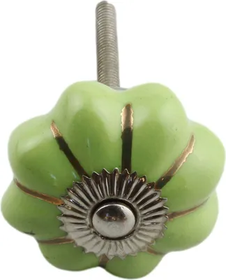 Produktbild von Möbelknauf aus Keramik Shabby Chic Rosette - einfarbig - grün - silber