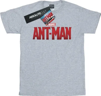Produktbild von Marvel - T-Shirt für Herren BI11052 (L) (Grau)