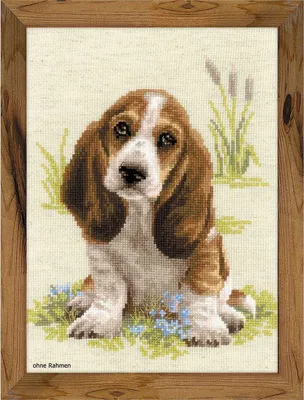 Produktbild von Riolis Kreuzstich-Set "Basset Welpe", Zählmuster