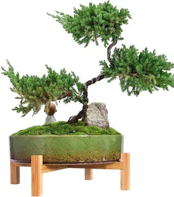 Immagine prodotto di Vasi da fiori in Vetroceramica con foro di drenaggio per piante di grandi dimensioni Decorativi